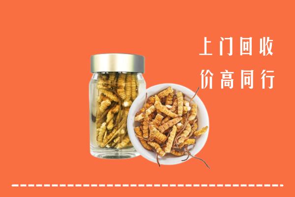 高价求购：呼和浩特回收冬虫夏草